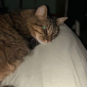 Meet your Posher, Sienna